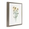 Stupell Industries Black-Eyed Susan Botanical Floating Frame, design by Cindy Jacobs